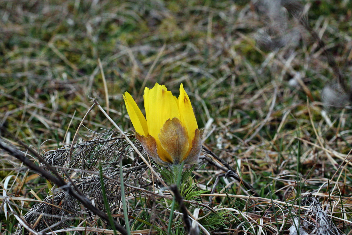 2014_03_26_00038943p_Bildgr��e �ndern