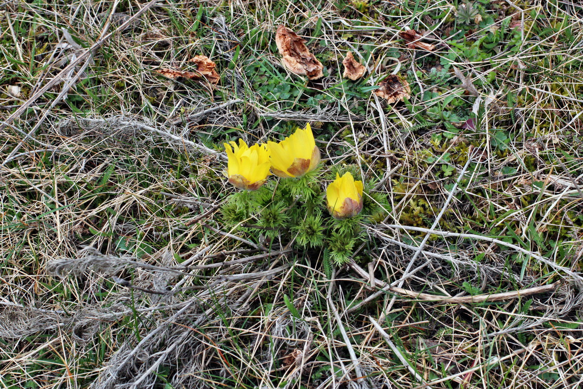 2014_03_26_00038948p_Bildgr��e �ndern