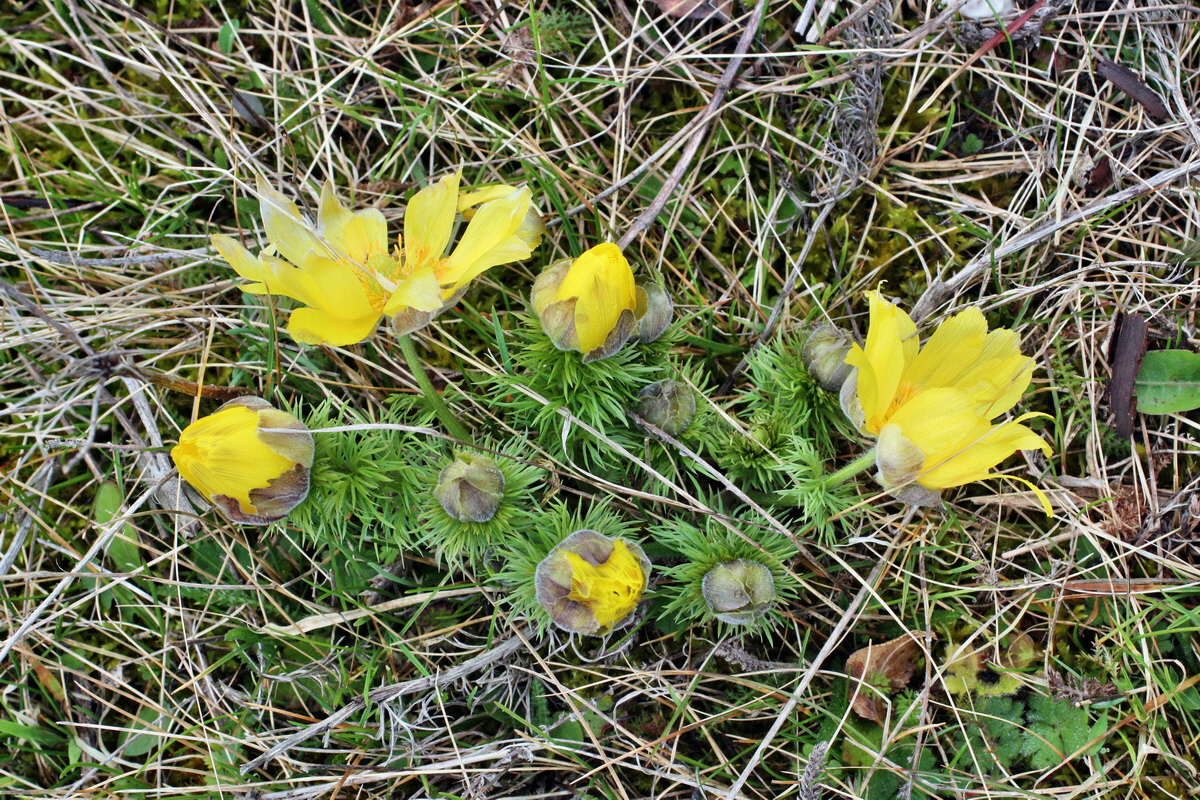 2014_03_26_00038953p_Bildgr��e �ndern