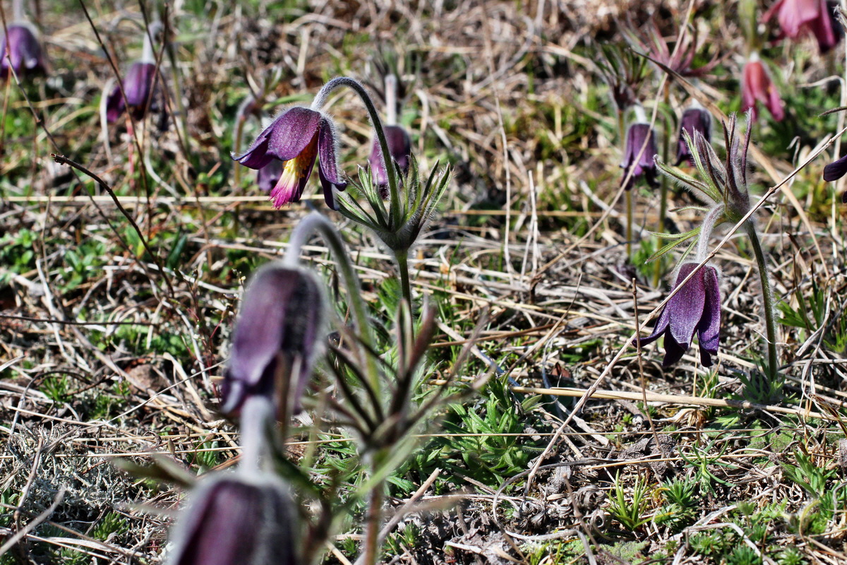 2014_03_29_00038961p_Bildgr��e �ndern