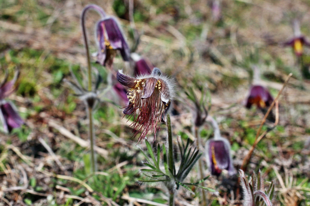 2014_03_29_00038965p_Bildgr��e �ndern