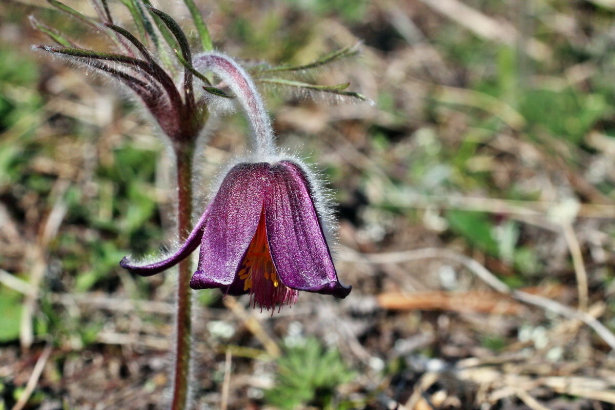 2014_03_29_00038968p_Bildgr��e �ndern