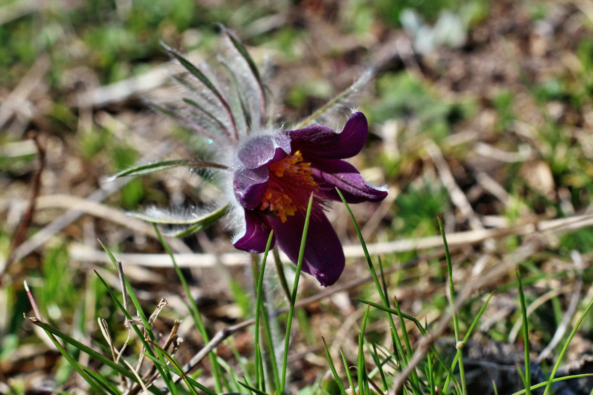 2014_03_29_00038974p_Bildgr��e �ndern