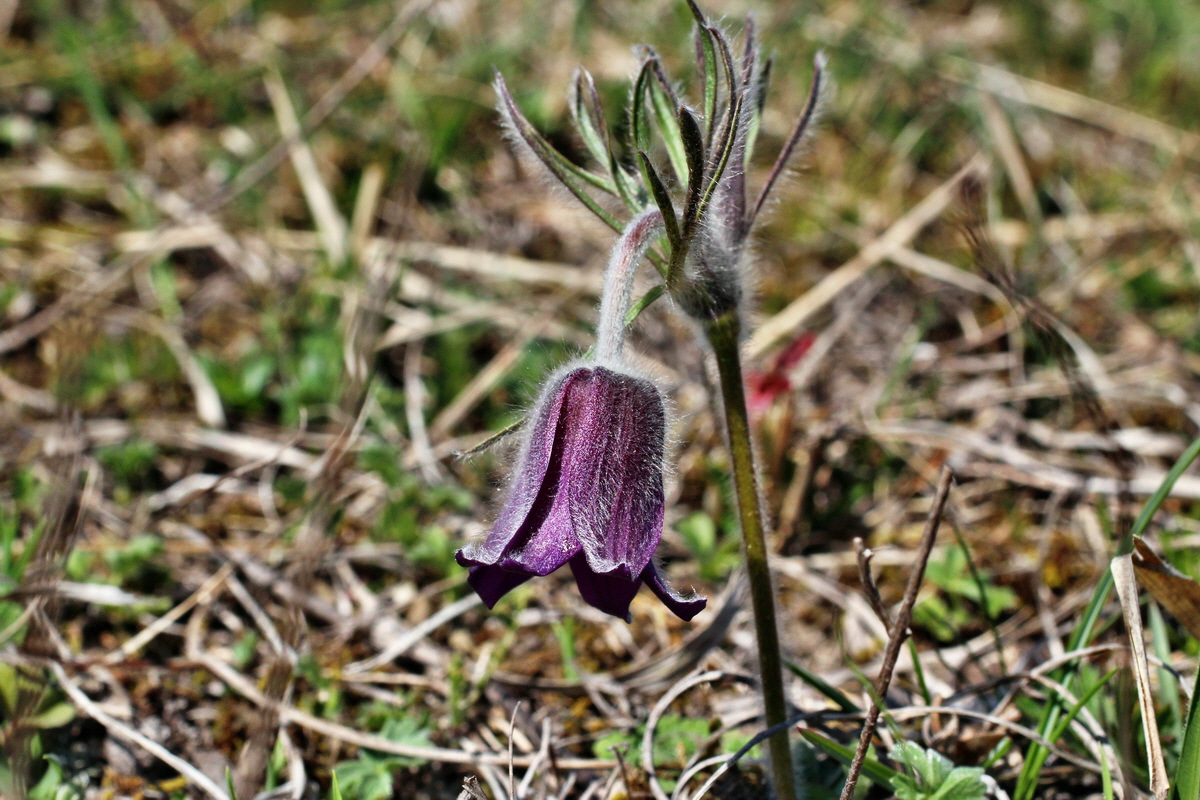 2014_03_29_00038986p_Bildgr��e �ndern