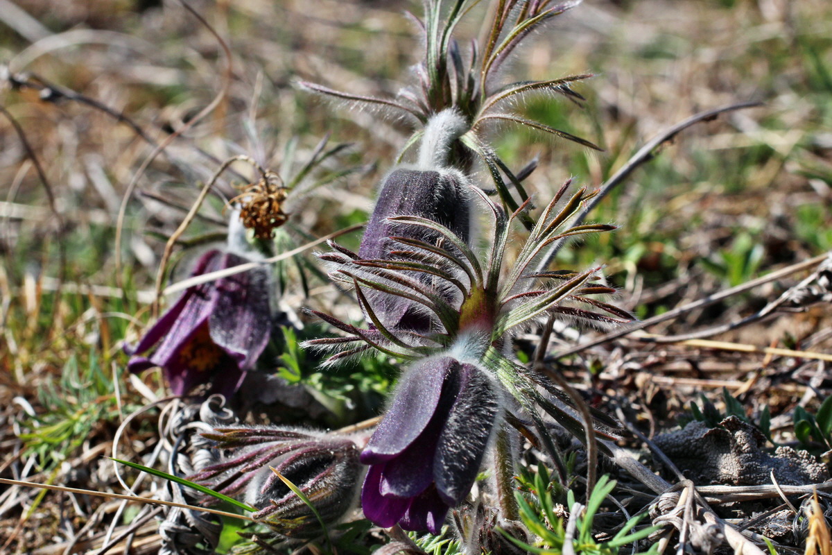 2014_03_29_00038989p_Bildgr��e �ndern