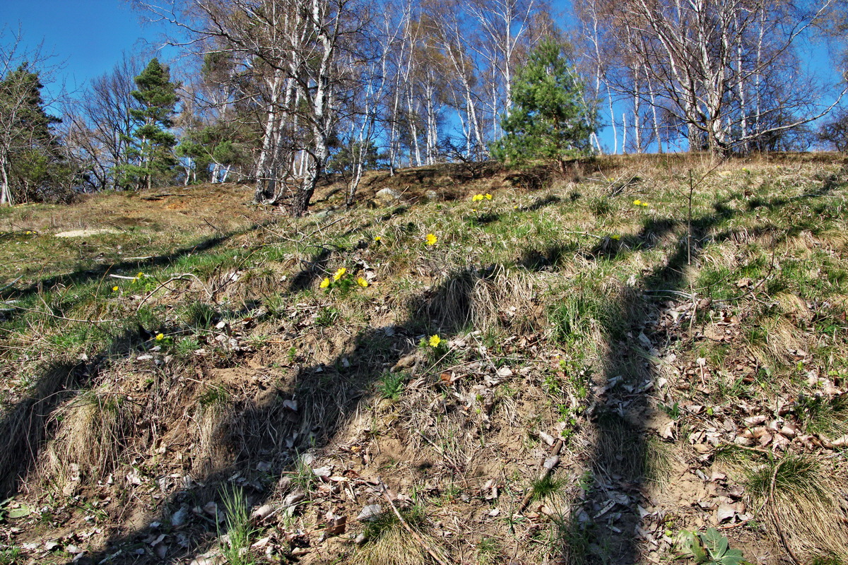 2014_03_29_00039015p_Bildgr��e �ndern