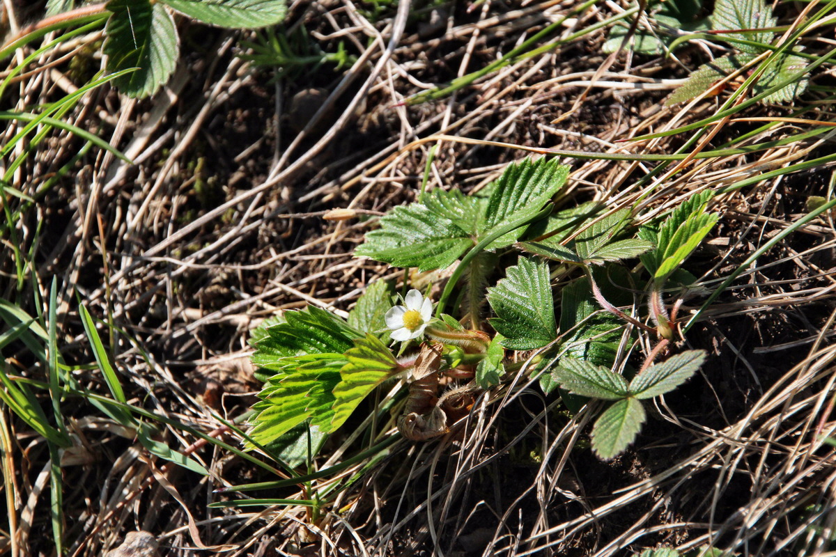 2014_03_29_00039024p_Bildgr��e �ndern