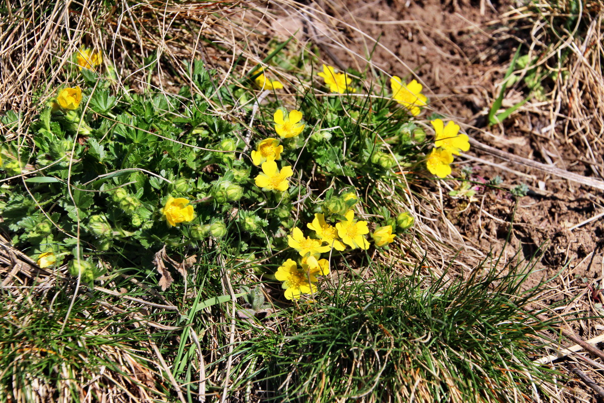 2014_03_29_00039026p_Bildgr��e �ndern