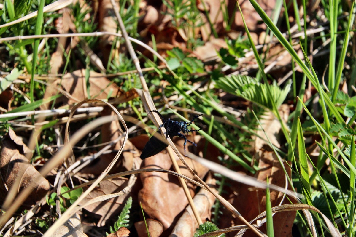 2014_03_29_00039031p_Bildgr��e �ndern