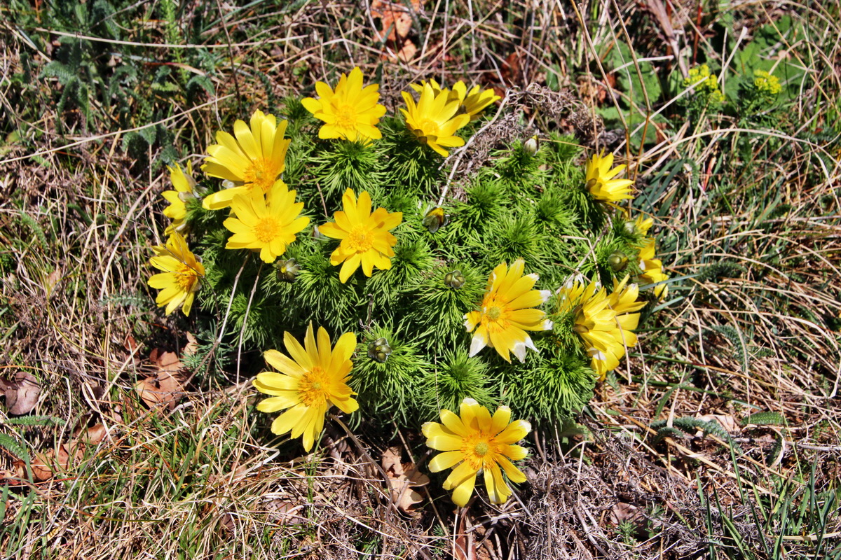 2014_03_29_00039054p_Bildgr��e �ndern