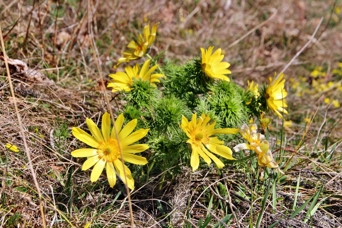 2014_03_29_00039057p_Bildgr��e �ndern