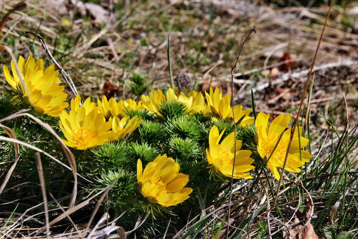 2014_03_29_00039060p_Bildgr��e �ndern