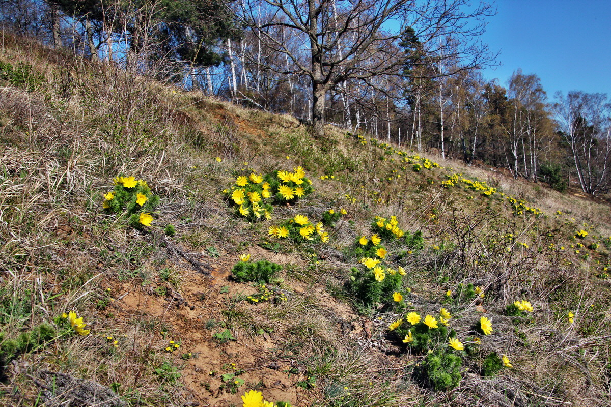 2014_03_29_00039069p_Bildgr��e �ndern