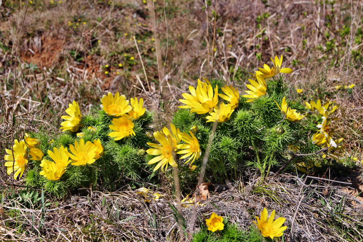 2014_03_29_00039074p_Bildgr��e �ndern