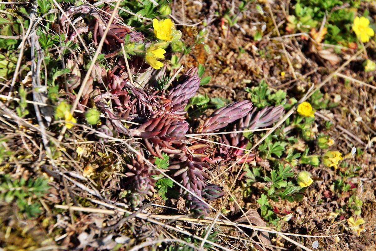 2014_03_29_00039076p_Bildgr��e �ndern