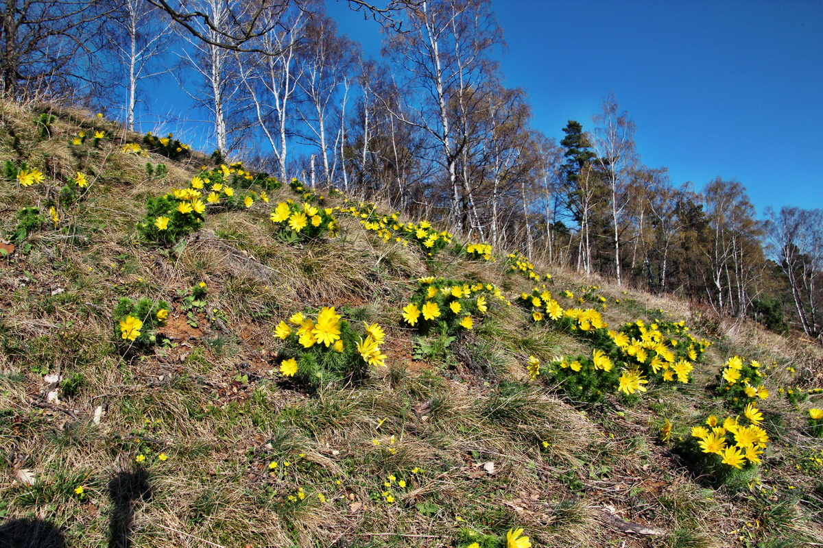 2014_03_29_00039079p_Bildgr��e �ndern