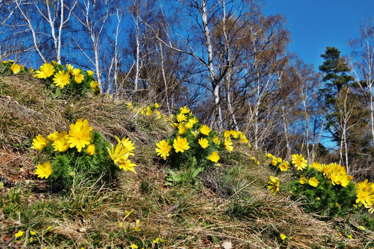 2014_03_29_00039082p_Bildgr��e �ndern