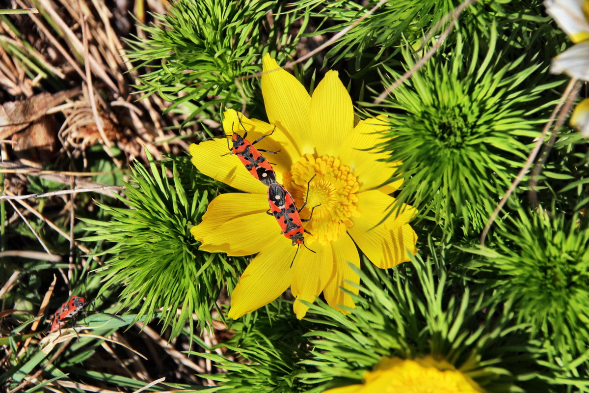 2014_03_29_00039085p_Bildgr��e �ndern