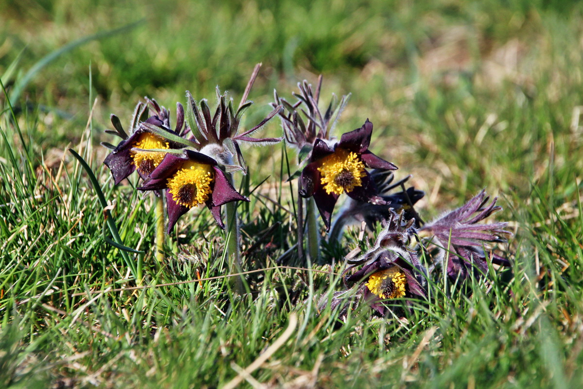 2014_03_29_00039096p_Bildgr��e �ndern