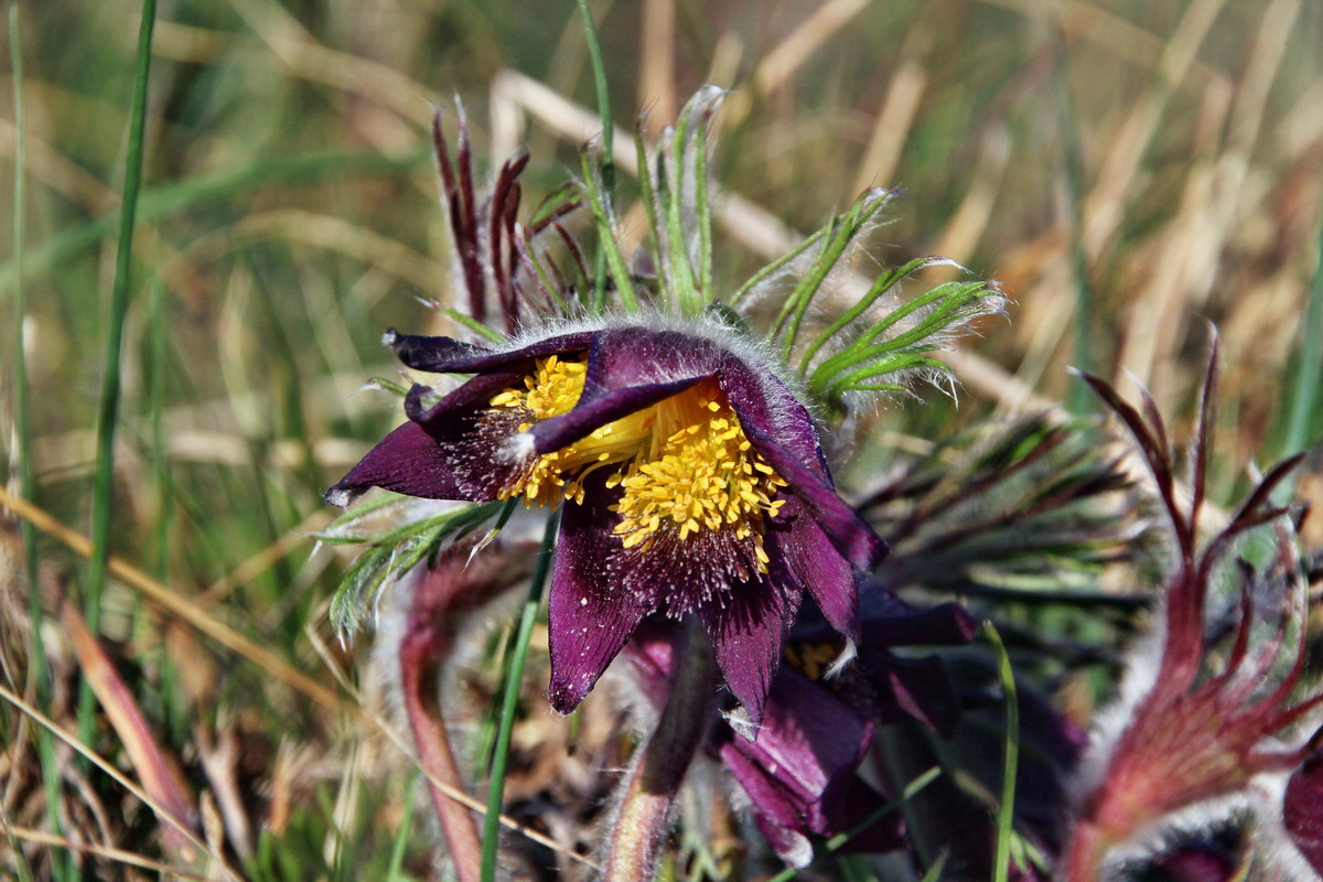 2014_03_29_00039106p_Bildgr��e �ndern