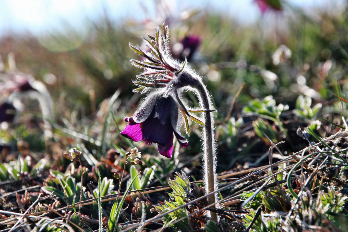 2014_03_29_00039112p_Bildgr��e �ndern