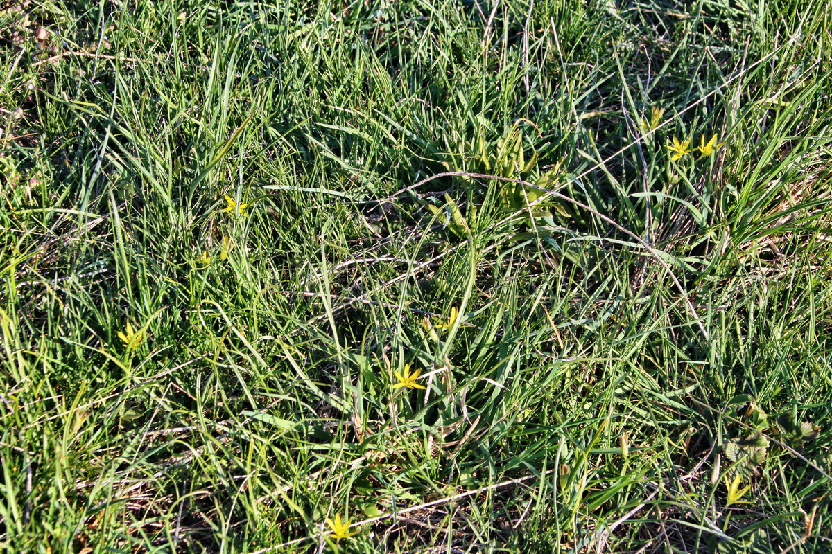 2014_03_29_00039125p_Bildgr��e �ndern