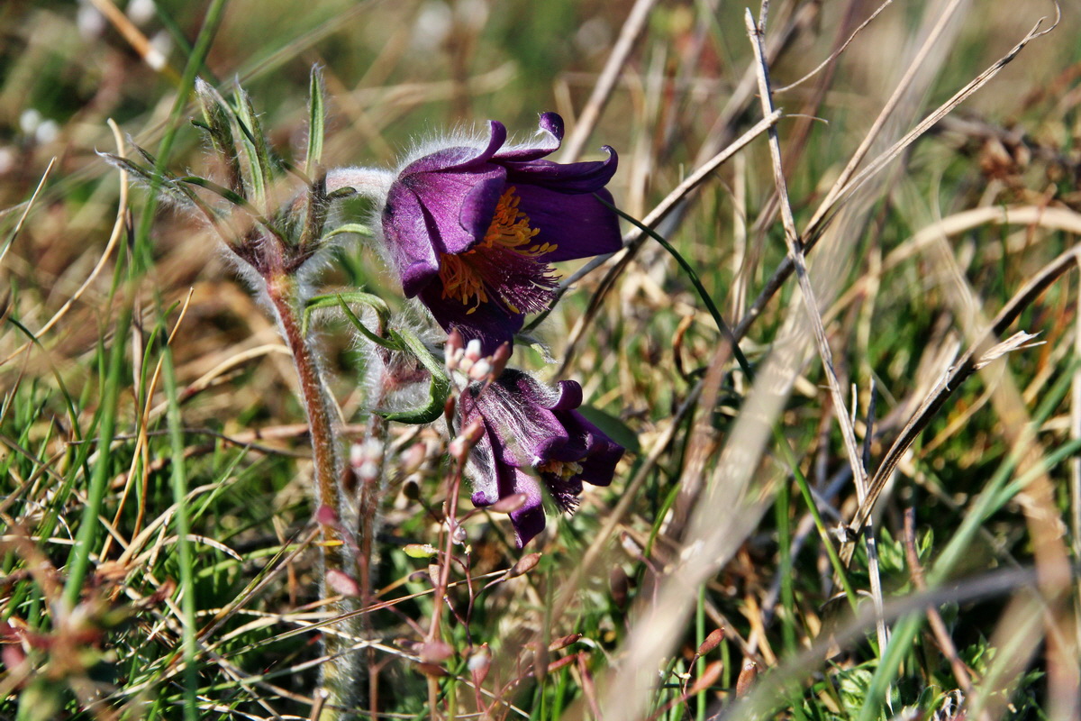 2014_03_29_00039128p_Bildgr��e �ndern