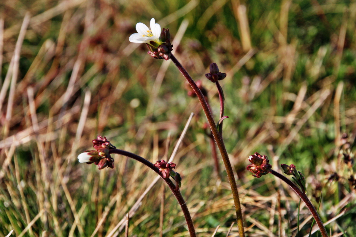 2014_03_29_00039132p_Bildgr��e �ndern