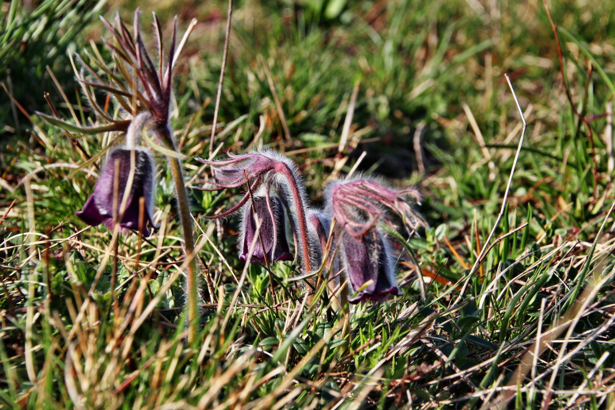 2014_03_29_00039140p_Bildgr��e �ndern