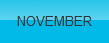 NOVEMBER