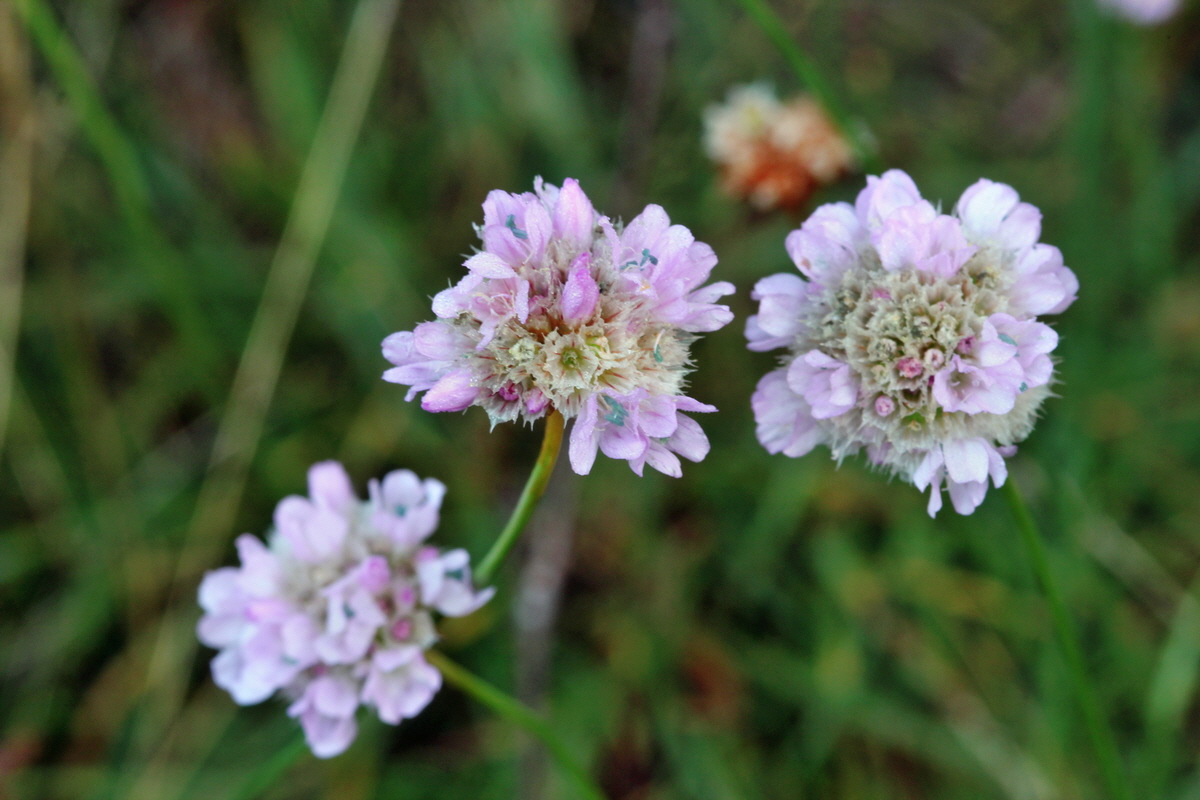 2014_09_04_00050381p_Bildgr��e �ndern