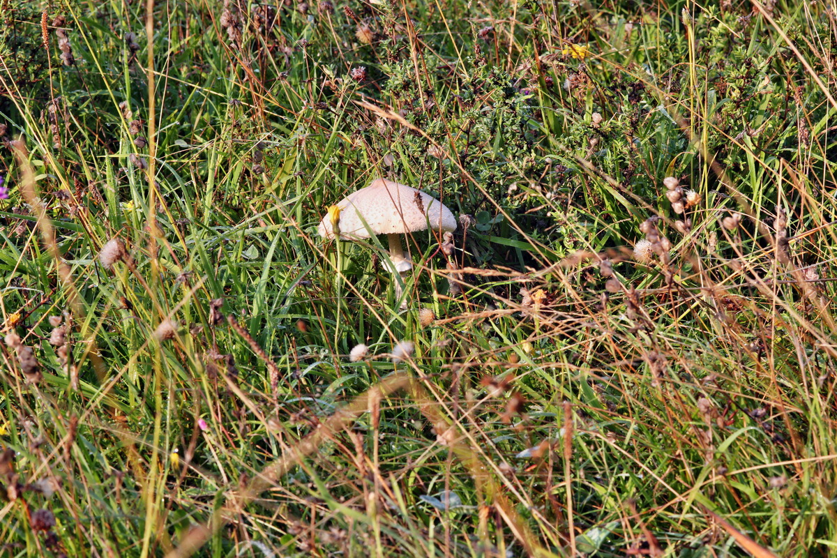 2014_09_04_00050394p_Bildgr��e �ndern