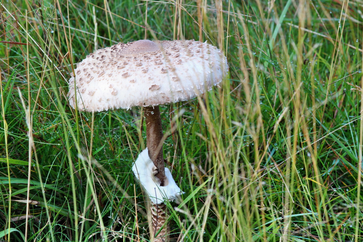 2014_09_04_00050404p_Bildgr��e �ndern