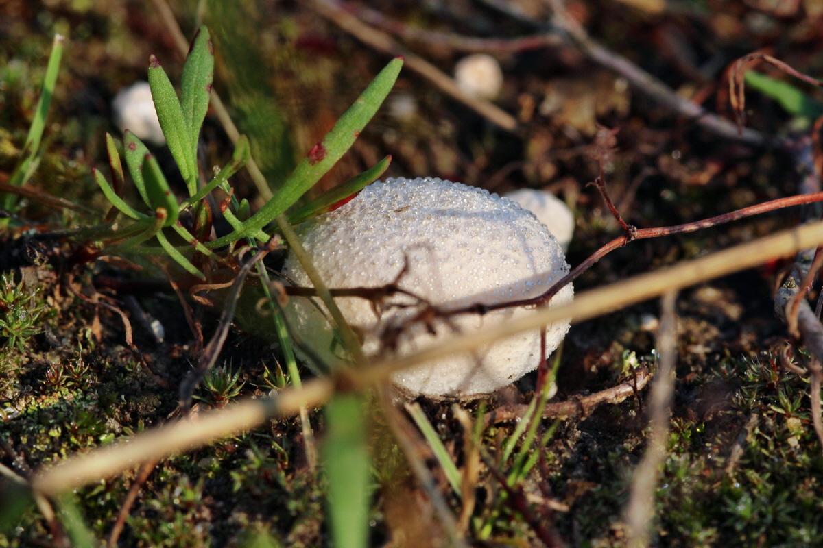 2014_09_04_00050406p_Bildgr��e �ndern