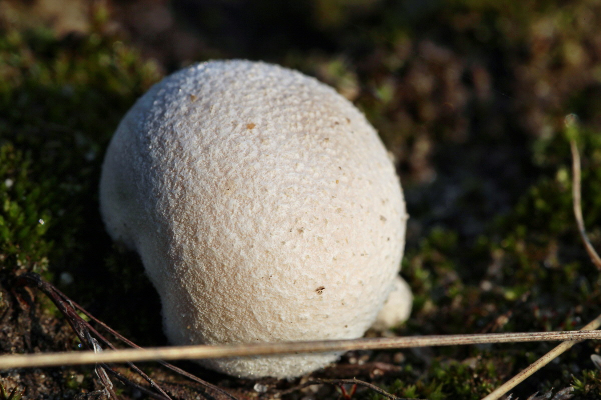 2014_09_04_00050410p_Bildgr��e �ndern