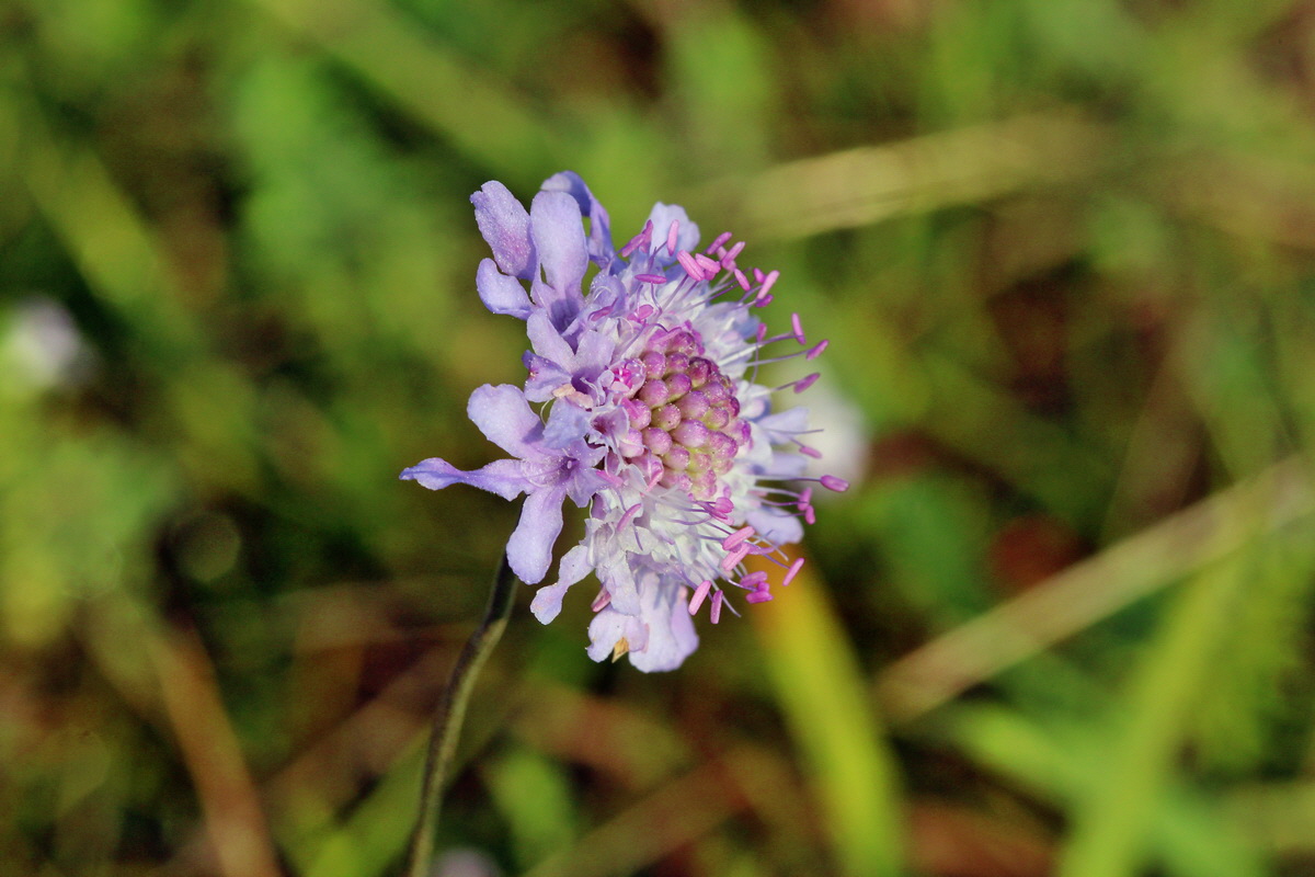 2014_09_04_00050414p_Bildgr��e �ndern