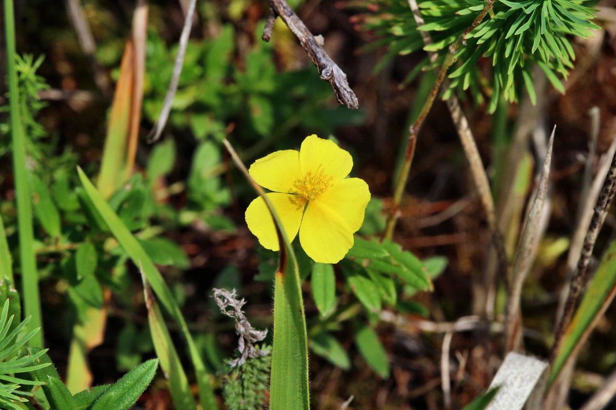 2014_09_05_00050435p_Bildgr��e �ndern