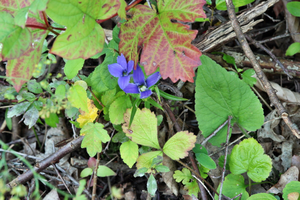 2014_09_05_00050438p_Bildgr��e �ndern