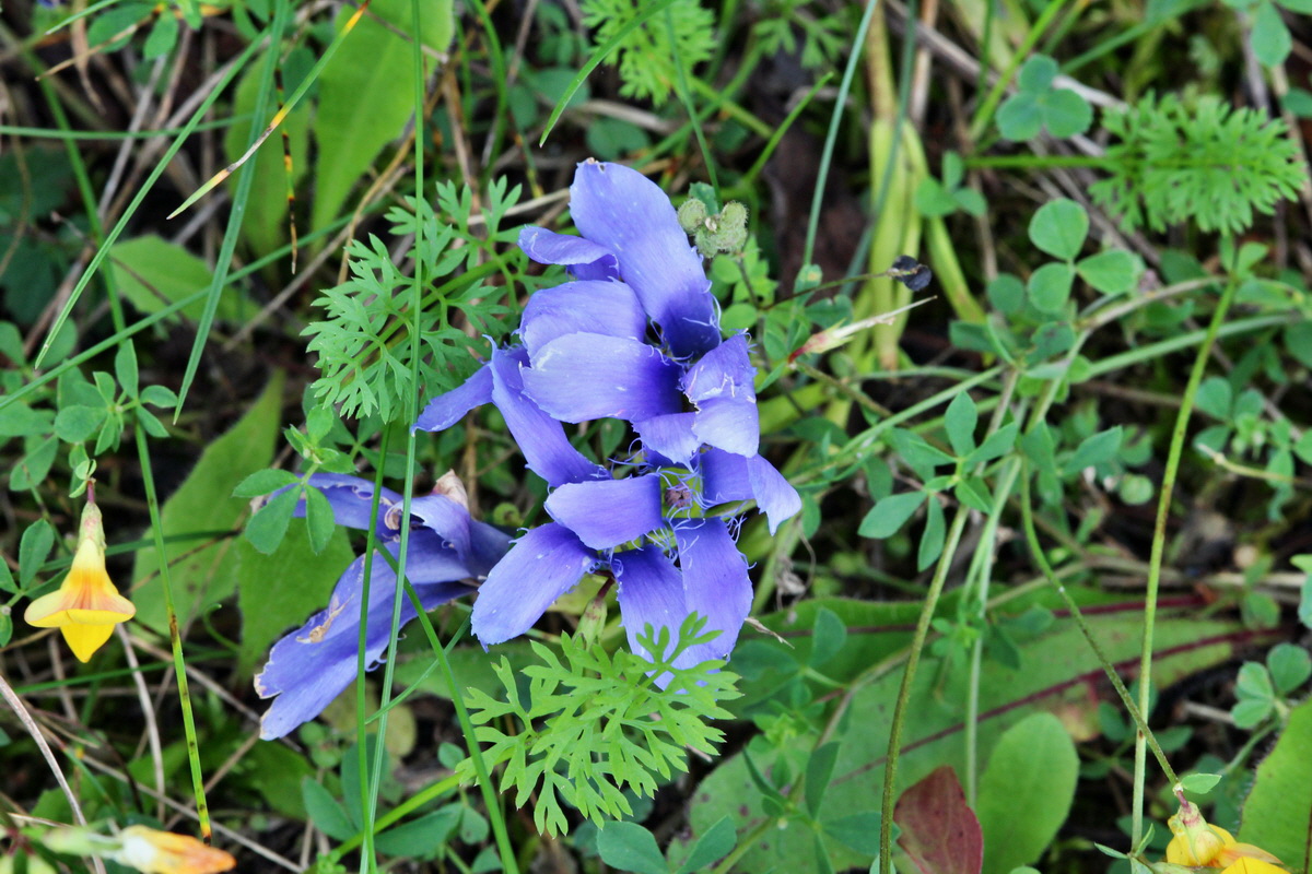 2014_09_05_00050445p_Bildgr��e �ndern