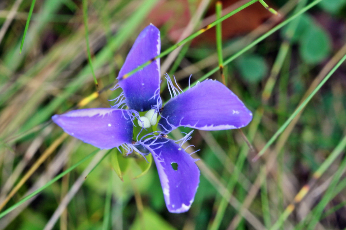 2014_09_05_00050448p_Bildgr��e �ndern