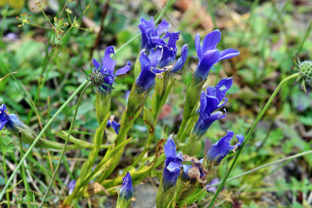 2014_09_05_00050458p_Bildgr��e �ndern