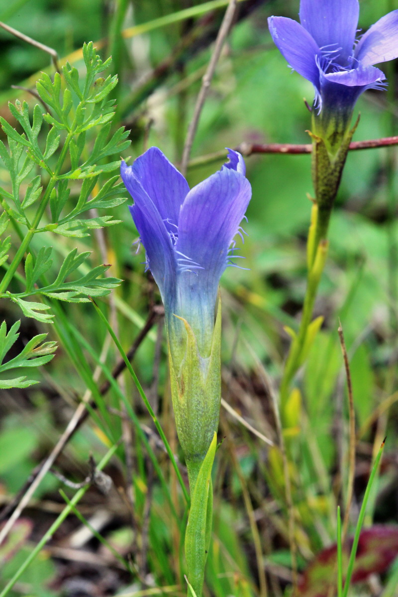 2014_09_05_00050461p_Bildgr��e �ndern