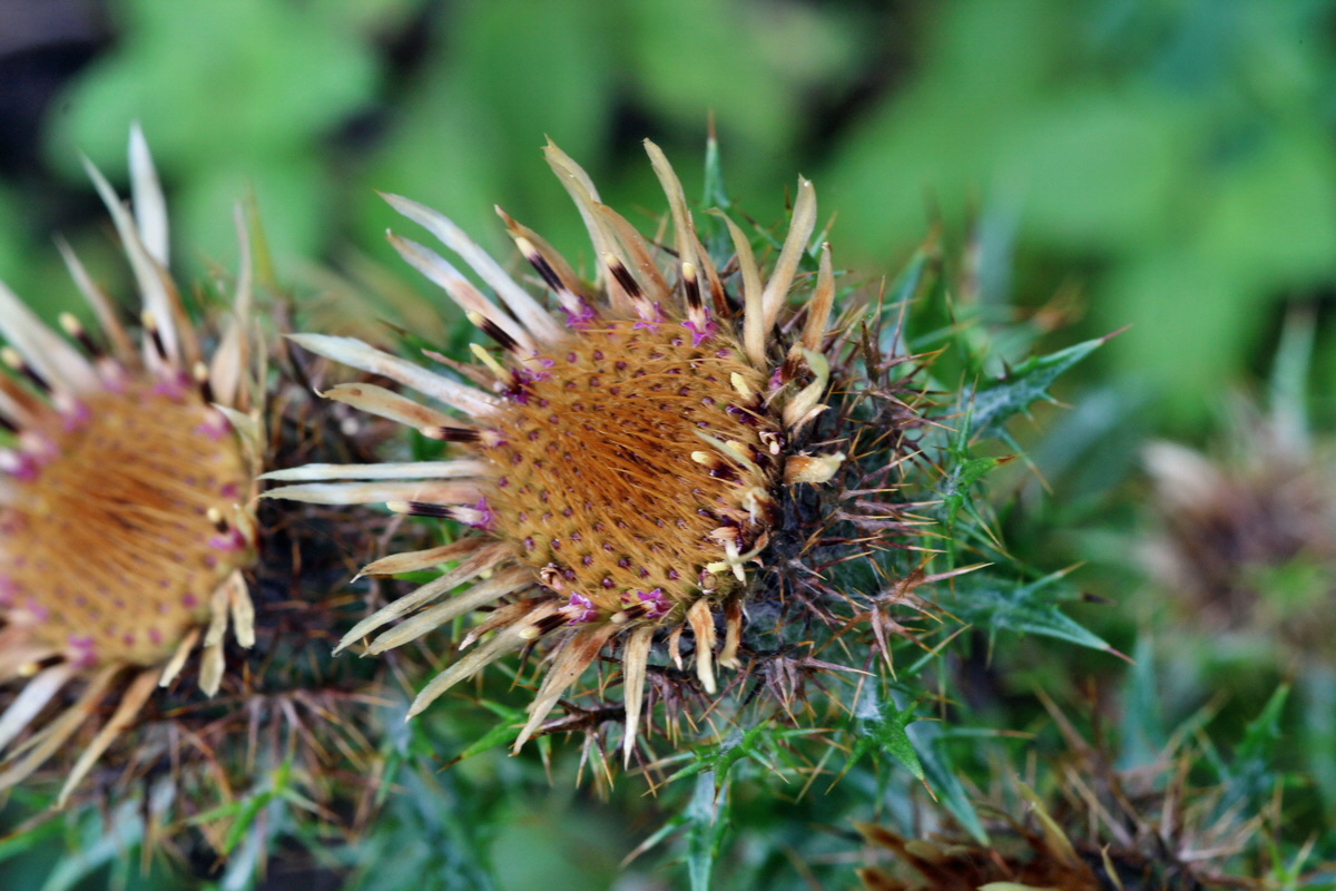 2014_09_05_00050501p_Bildgr��e �ndern