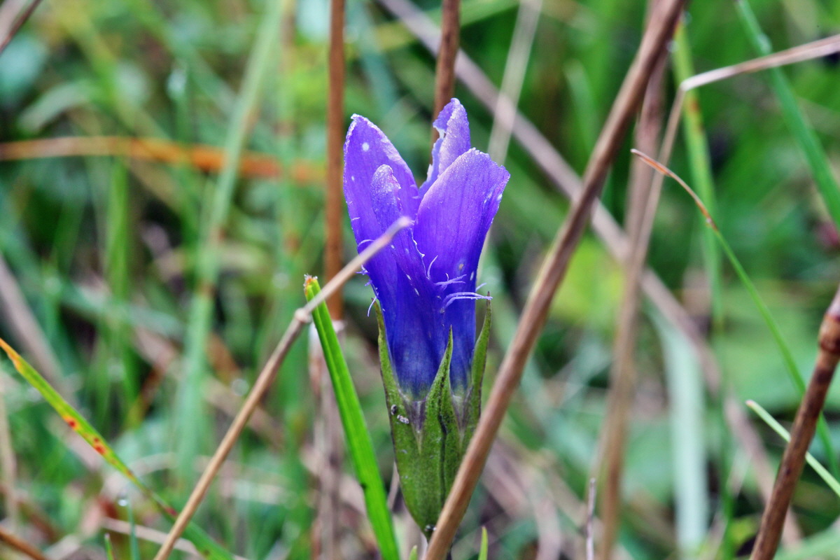 2014_09_08_00050511p_Bildgr��e �ndern