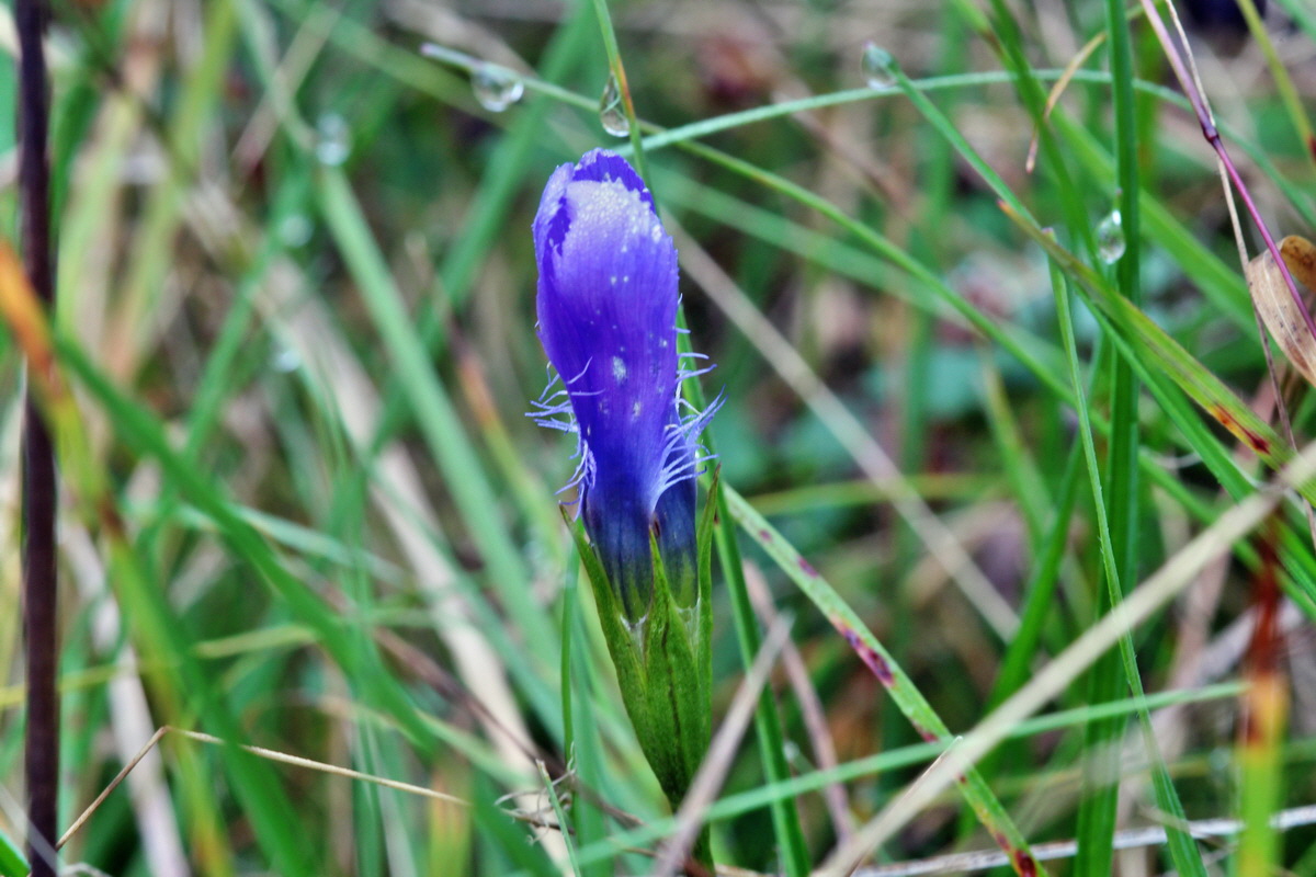 2014_09_08_00050516p_Bildgr��e �ndern