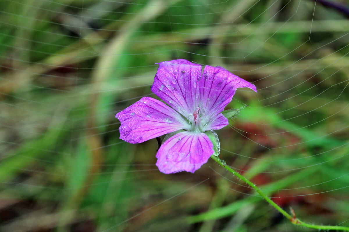 2014_09_08_00050527p_Bildgr��e �ndern