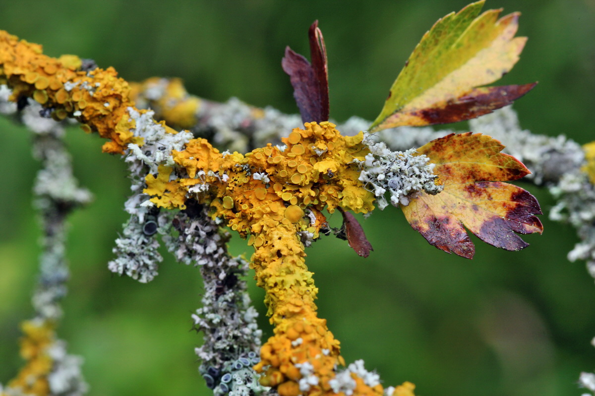 2014_09_08_00050543p_Bildgr��e �ndern