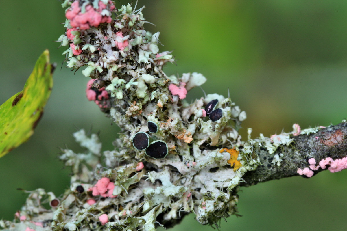 2014_09_08_00050562p_Bildgr��e �ndern