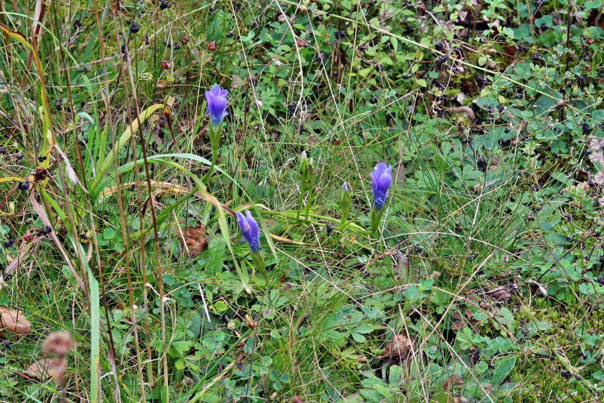 2014_09_08_00050576p_Bildgr��e �ndern