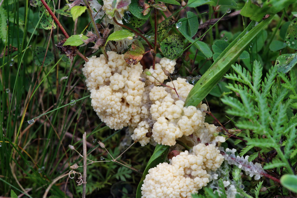 2014_09_08_00050584p_Bildgr��e �ndern